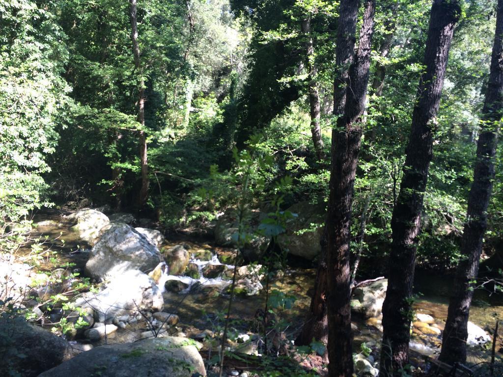 Gite U Licetu A La Campagne Oreta Dış mekan fotoğraf