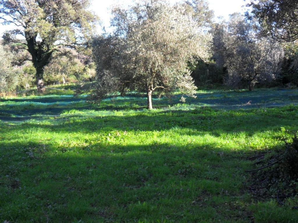 Gite U Licetu A La Campagne Oreta Dış mekan fotoğraf