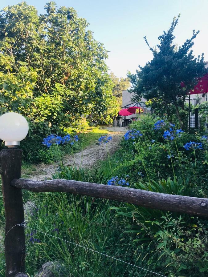 Gite U Licetu A La Campagne Oreta Dış mekan fotoğraf
